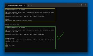 ORA-12560 TNS Protocol Adapter Error