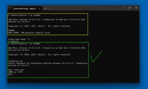 ORA-12560 TNS Protocol Adapter Error